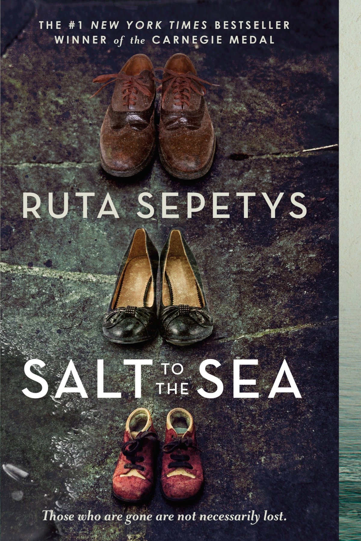 Book Review: Salt to the Sea